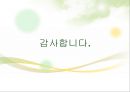 표절의 의미와 문제점, 표절 사례 및 올바른 글쓰기 방안 31페이지