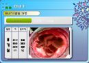 태내기 출산 신생아 발달특징과 보육 (태내기, 임신, 태내기 발달 및 장애, 출산, 신생아, 신생아 발달 및 장애, 신생아 돌보기).ppt 7페이지