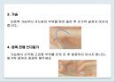 영유아의 목욕하기 (스폰지 목욕, 주의사항, 준비물, 목욕후).PPT자료 17페이지