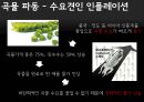 영화  Time is Money : 시간 인플레이션 - 영화 “INTIME”, 영화 속 시간가치의 현실화 , 영화 속 인플레이션, 인플레이션 사례.PPT자료 13페이지