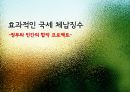 [체납 징수 방안] 체납액의 현황과 원인, 징수의 문제점 및 효과적인 국세 체납징수 방안 1페이지