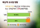 [체납 징수 방안] 체납액의 현황과 원인, 징수의 문제점 및 효과적인 국세 체납징수 방안 3페이지