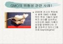 GMO(유전자 조작식품)의 정의, 필요성, GMO의 발생 배경, GMO의 특징, GMO의 전망, 유전자 변형 식품의 국제적 현황 및 우리나라 현황.ppt 10페이지