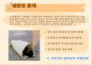 노숙자의 현황과 문제점 및 노숙자 대책방안 14페이지