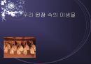 [우리 된장 속의 미생물] 된장 역사, 제조방법, 효능, 발효균, 된장에 대한 모든 것 1페이지
