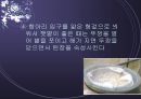 [우리 된장 속의 미생물] 된장 역사, 제조방법, 효능, 발효균, 된장에 대한 모든 것 9페이지