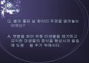 [우리 된장 속의 미생물] 된장 역사, 제조방법, 효능, 발효균, 된장에 대한 모든 것 11페이지