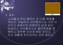 [우리 된장 속의 미생물] 된장 역사, 제조방법, 효능, 발효균, 된장에 대한 모든 것 15페이지