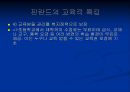 선진국 핀란드의 공교육과 한국의 공교육 비교 및 문제점과 개선방안 12페이지