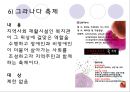  장애인과 교육 (동기, 장애인 교육의 개념, 장애인과 교육, 특수교육, 장애인 대상 교육, 비장애인 대상 교육, 장애인 교육의 문제점, 후기).PPT자료 17페이지