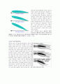 양력(揚力/lift)의 발생원리 4페이지