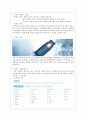 라네즈(LANEIGE)  중국진출 마케팅 전략  8페이지