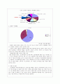 라네즈(LANEIGE)  중국진출 마케팅 전략  13페이지