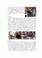 스페인 축제 (성 주간 축제,Semana Santa,토마토 축제,Castell,불꽃축제,라스파야스,Las Fallas,San Fermin,산페르민,La Tomatina) 4페이지