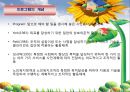 (노인복지론) 노인복지프로그램 PPT 파워포인트 4페이지