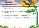 (노인복지론) 노인복지프로그램 PPT 파워포인트 17페이지