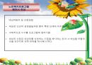 (노인복지론) 노인복지프로그램 PPT 파워포인트 19페이지