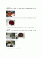 미생물보고서 대장균군 검사 3페이지