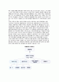 글로벌경영의 주요개념 (빅맥지수, 파견경영자의 보수, 국제수지, 기술이전, 국제거래와 환위험관리) 6페이지