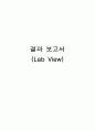랩뷰Lab View  프로그램 6페이지
