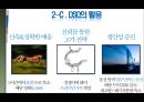 씨멕스의 성공요인/마케팅분석/SWOT분석/STP 19페이지