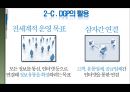 씨멕스의 성공요인/마케팅분석/SWOT분석/STP 21페이지