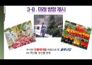 씨멕스의 성공요인/마케팅분석/SWOT분석/STP 27페이지