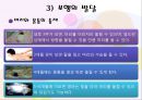 [영아의 신체 운동] 아동의 신체성장, 영아의 손의 조작능력, 영아의 보행의 발달, 생기적 기능(수면과 배설) 10페이지