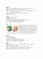 프뢰벨의 은물 4페이지