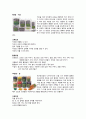 프뢰벨의 은물 7페이지