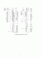 경락 마사지 (경락마사지의 정의, 역사, 작용, 효능, 기본, 방향, 원칙, 경락계통의 기능과 작용, 얼굴과 전신 경락 마사지법) 11페이지