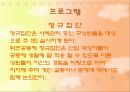 [사회복지현장실습] 중증장애인 직업재활시설 위캔센터 (WE CAN) (치료 공동체., 프로그램, 직업재활 계획서, 사회복지사의 역할).pptx 13페이지