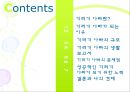 ★★★성공적인 기러기 아빠가 되기 위한 방안과 전망★★★ _ 기러기 아빠 생활보고서 2페이지