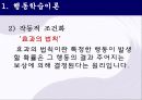 학습이론에 대한ppt 11페이지