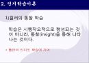 학습이론에 대한ppt 13페이지