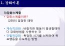 학습이론에 대한ppt 23페이지