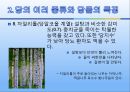 자연과학의 이해 _ 당에 관해서 16페이지