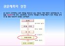 14. 대몽 항쟁과 원간섭기 6페이지