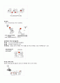 휠체어 스포츠에 대하여 18페이지
