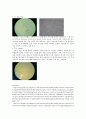[요화학] 요검경 Urine Microscopy 2페이지