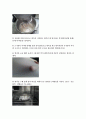 비상법을 이용한 식빵제조실험레포트 4페이지