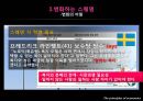 스웨덴 복지모델 [북유럽, 노르딕 국가] 27페이지