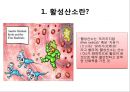 (스포츠의학, 운동처방관련학과)  활성산소와 운동, 노화의 주범, 활성산소 대처방법, 항산화제, 활성산소와 운동.pptx 3페이지