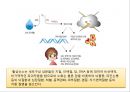 (스포츠의학, 운동처방관련학과)  활성산소와 운동, 노화의 주범, 활성산소 대처방법, 항산화제, 활성산소와 운동.pptx 13페이지