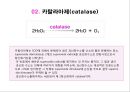 (스포츠의학, 운동처방관련학과)  활성산소와 운동, 노화의 주범, 활성산소 대처방법, 항산화제, 활성산소와 운동.pptx 25페이지