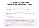 (스포츠의학, 운동처방관련학과)  활성산소와 운동, 노화의 주범, 활성산소 대처방법, 항산화제, 활성산소와 운동.pptx 26페이지
