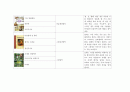 (아동미술) 미술활동관련 동화책 목록화 보고서 (그림책, 미술 동화책) 14페이지
