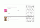 (아동미술) 미술활동관련 동화책 목록화 보고서 (그림책, 미술 동화책) 17페이지
