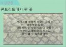 고령화가족_송해성 감독과 천명관작가,줄거리 비교&분석 37페이지