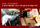 네슬레(Nestle), Good Food, Good Life (기업 소개, 성공전략, 조직 구조, 제품군, 커피, 커피시장).pptx 12페이지